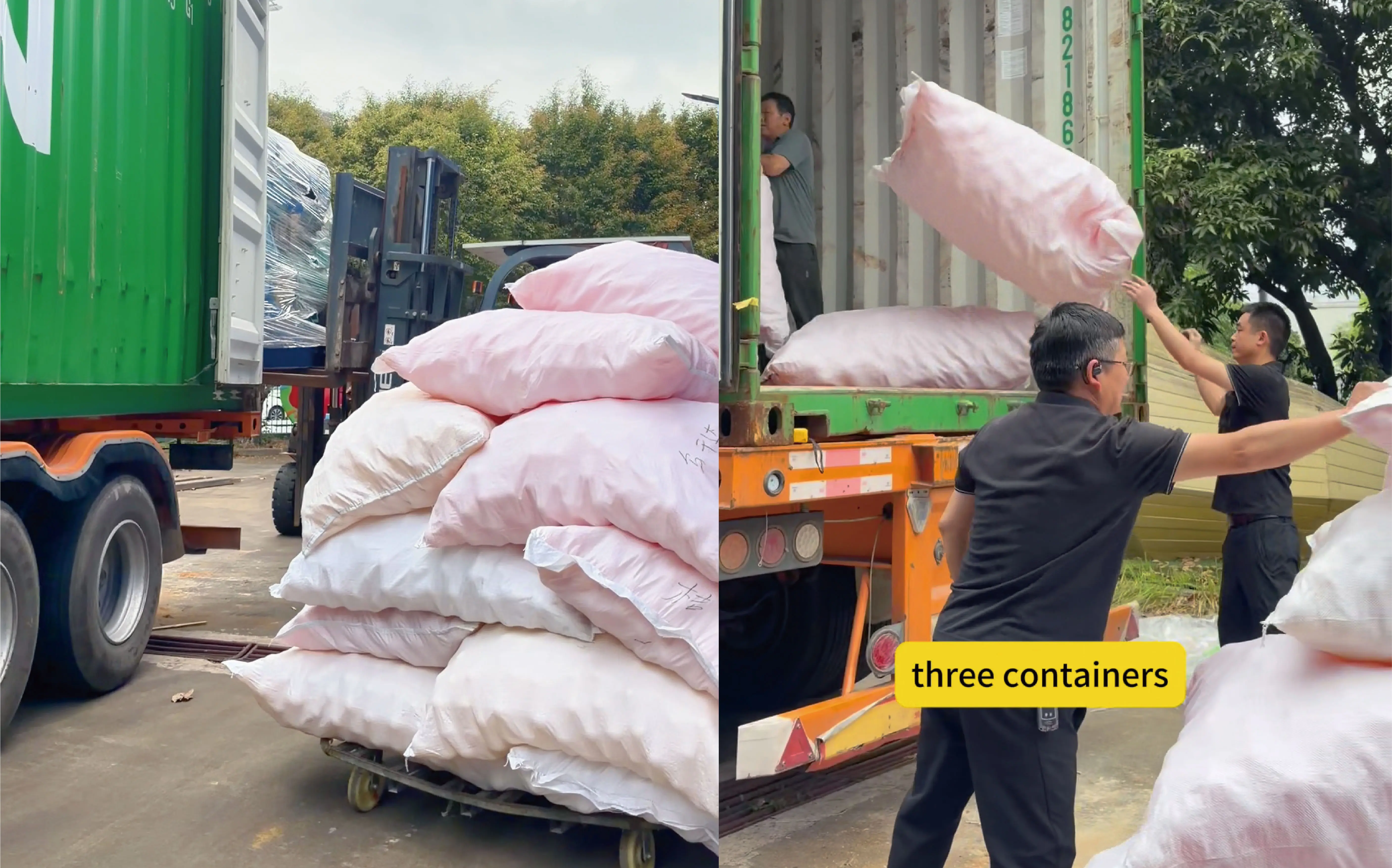 未标题-2_画板 1.jpg